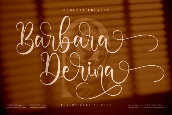 Barbara Derina Font for Modern Web Design