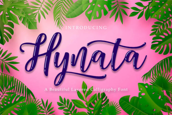 Hynata Script Font Review