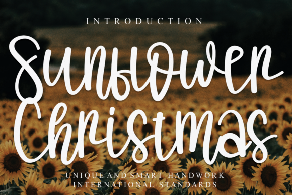 Sunflower Christmas Font for Polished Branding