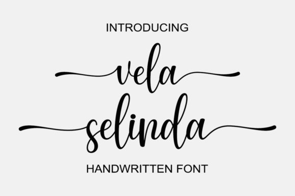 Vela Selinda for Web Design Projects